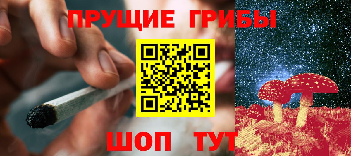 Псилоцибиновые грибы мицелий Мытищи